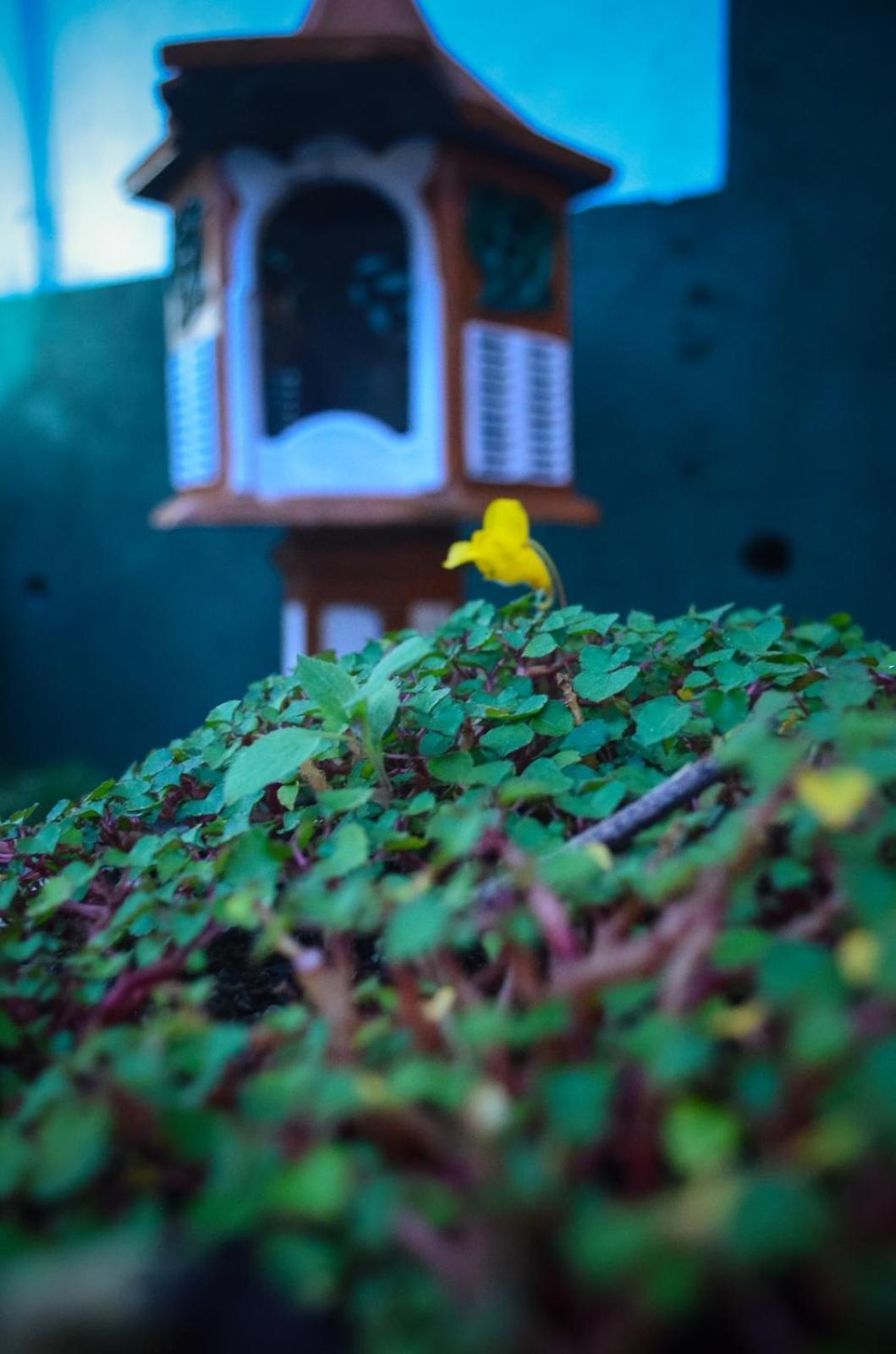 New Blue Home Ела Екстериор снимка